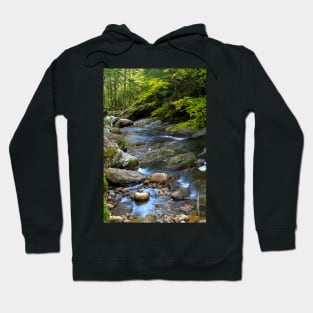 Downstream Texas Falls Hoodie